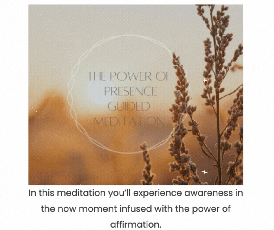 Free Guided Meditation - Phoenix Tribe